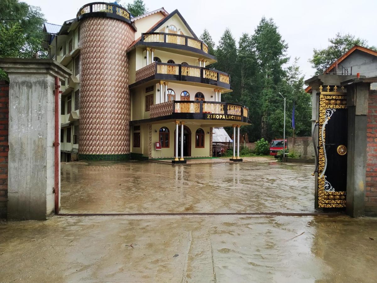 Ziro Palace Inn - A Boutique Hotel Hapoli Bagian luar foto